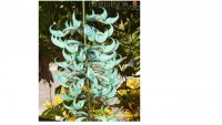 /album/fotogaleria/jade-verde-jpg1/